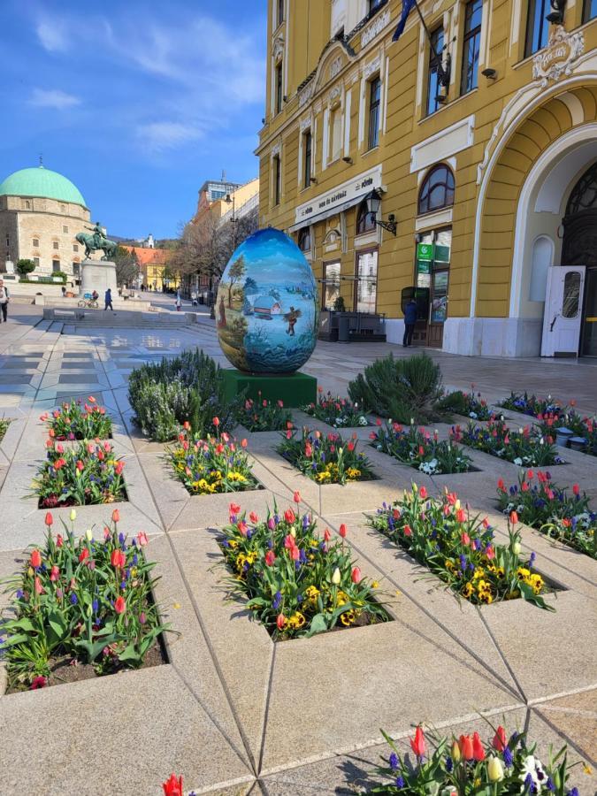 Downtown Studio Apartman Pécs Exteriör bild